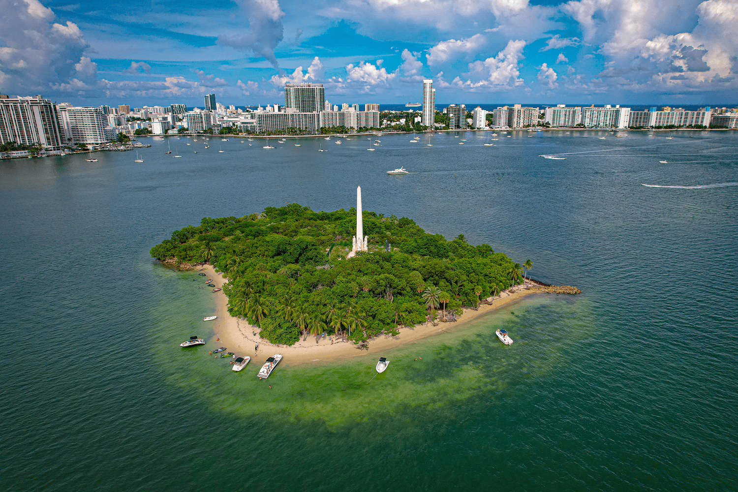 Where We Take You: Discover Miami from the Water